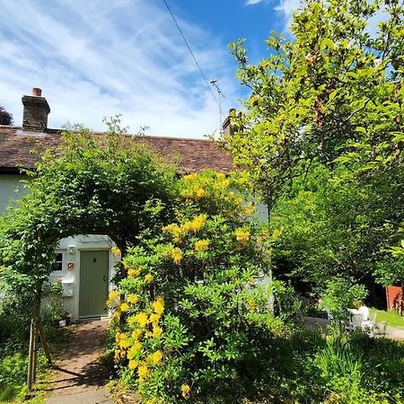 Ashdown Forest Character Cottage, 18Th Century Crowborough Esterno foto